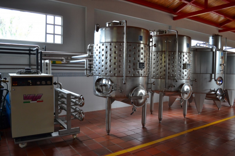 cave-GREOLIERES-min_wine_production_cantine_winery_drink_alcohol_vine_beverage-902036